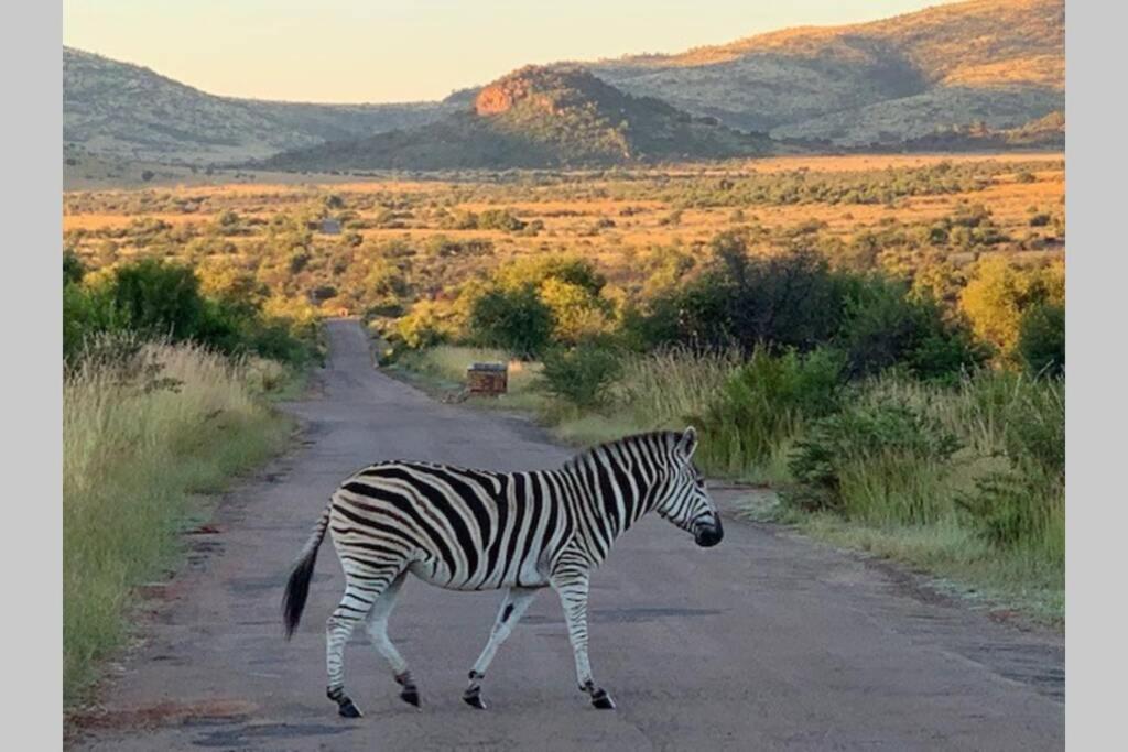 Rhino House With 3 Bedrooms Next To Pilanesberg And Sun City Mogwase Extérieur photo